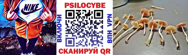 Псилоцибиновые грибы мицелий  Белоярский 